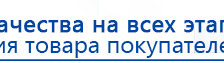 ДЭНАС-ПКМ (Детский доктор, 24 пр.) купить в Красноуфимске, Аппараты Дэнас купить в Красноуфимске, Официальный сайт Дэнас kupit-denas.ru